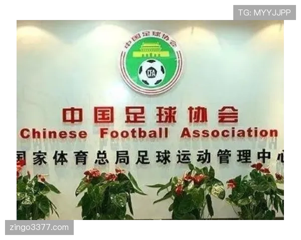 球员资格规则:注册时间与停赛对出场资格的判定 球员资格规则:注册时间与停赛对出场资格的判定